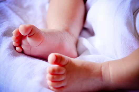 Baby feet newborn