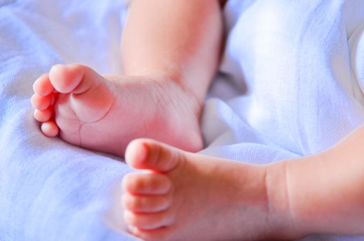 Baby feet newborn