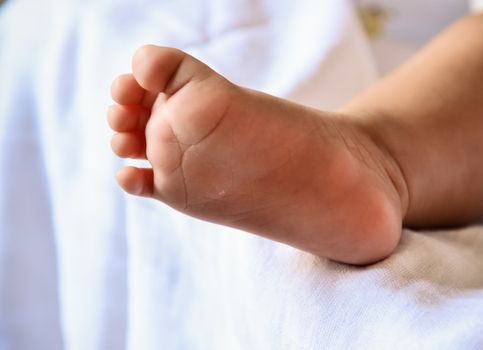 Baby feet newborn
