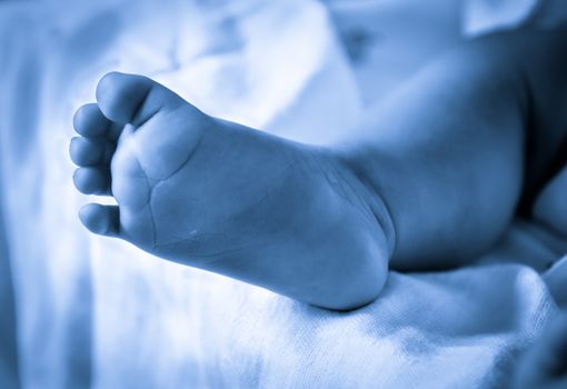 Baby feet newborn