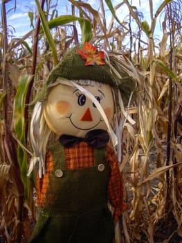 Scarecrow in corn fields of California