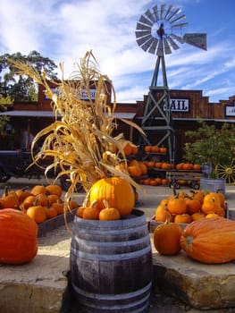 Fruit stand at harvest in California