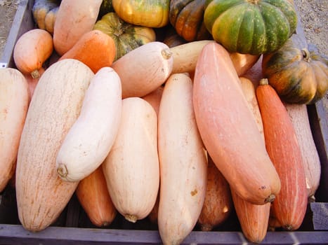 Gourds on produce stand in California