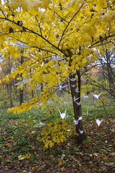 Paper cranes in autumn Park. Origami tree at the Botanical garden, Russia