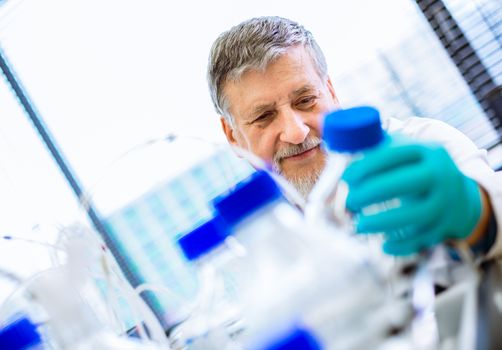 Senior male researcher carrying out scientific research in a lab (shallow DOF; color toned image)