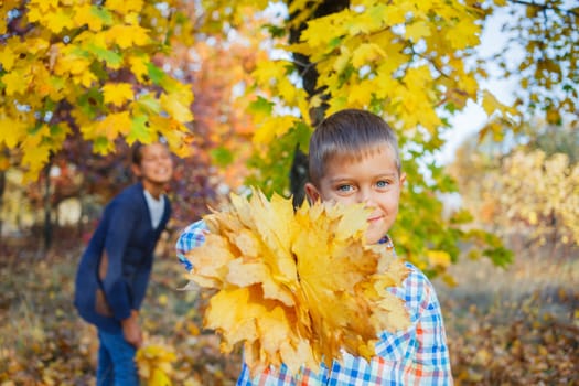 Portrait of Adorable cute boy with autumn leaves in the beautiful park