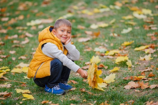 Portrait of Adorable cute boy with autumn leaves in the beautiful park