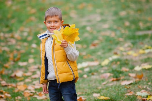 Portrait of Adorable cute boy with autumn leaves in the beautiful park