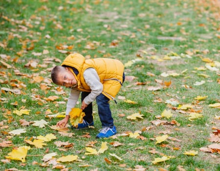 Portrait of Adorable cute boy with autumn leaves in the beautiful park