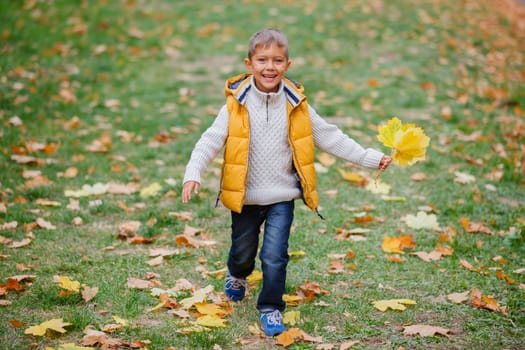 Portrait of Adorable cute boy with autumn leaves in the beautiful park