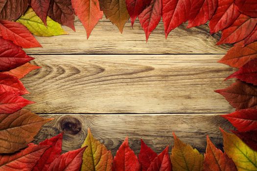 Autumn leaves frame on wooden background. Virginia creeper leaves. Top view