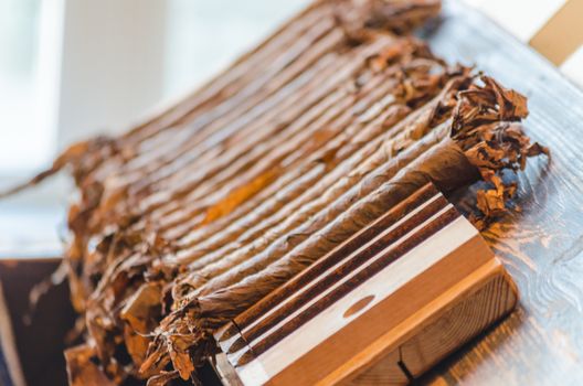 LWL-Open-Air Museum Hagen. 
Images courtesy of the Department of Public Relations. 
Traditional manufacture of cigars in a tobacco factory, 
All hand made ​​here to dry after rolling for further processing.