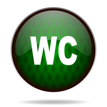 toilet green internet icon
