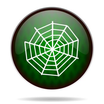 spider web green internet icon