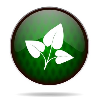 leaf green internet icon