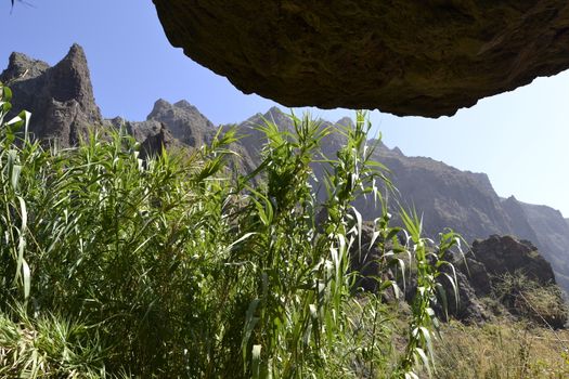 walk throuh the Masca canyon, Tenerife, Spain. beautiful and steep gorge.