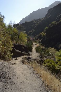 walk throuh the Masca canyon, Tenerife, Spain. beautiful and steep gorge.