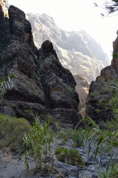 walk throuh the Masca canyon, Tenerife, Spain. beautiful and steep gorge.