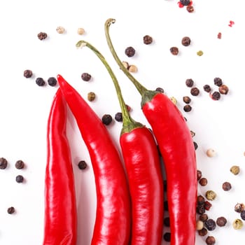 Red chili pepper on a white background