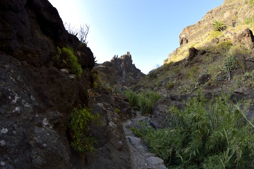 walk throuh the Masca canyon, Tenerife, Spain. beautiful and steep gorge. Fisheye lens