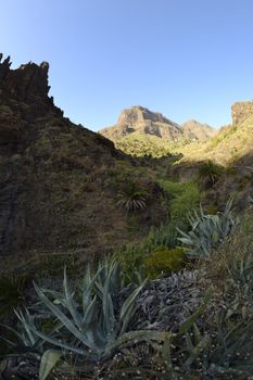 walk throuh the Masca canyon, Tenerife, Spain. beautiful and steep gorge. Fisheye lens