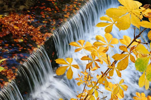 Beautiful waterfall and yellow chestnut leaves, long exposure.