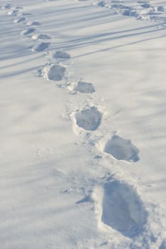 human tracks on the fresh white snow