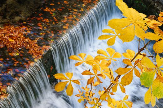 Beautiful waterfall and yellow chestnut leaves, long exposure.