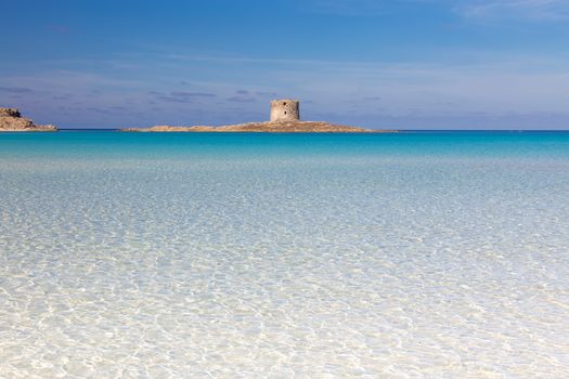 Beautiful turquoise blue mediterranean Pelosa beach near Stintino,Sardinia, Italy.