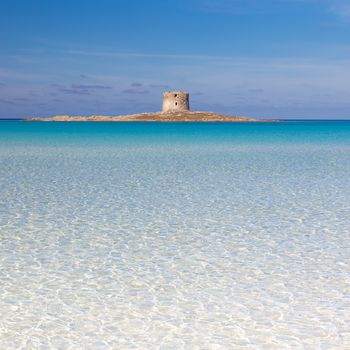 Beautiful turquoise blue mediterranean Pelosa beach near Stintino,Sardinia, Italy.