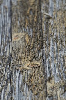 close up of weathered wood with shallow depth of field