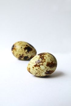 Two eggs of partridge on white background.