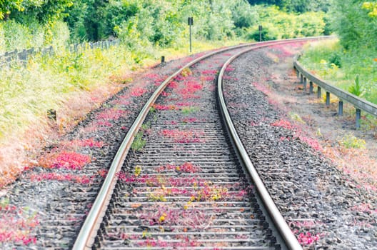 View on railroad tracks, track with a colorful plantings.