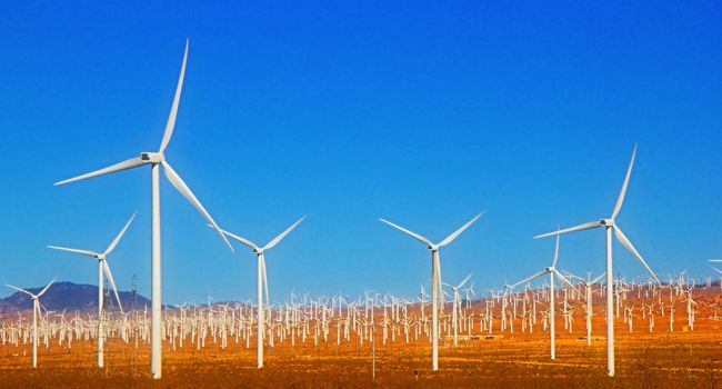 A lot of wind turbine with the blue sky.