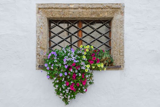 Colorful flowers on window sill exterior of classic old european house over white textured wall
