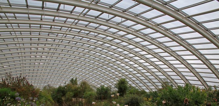 the roof of a giant greenhouse, from inside the structure