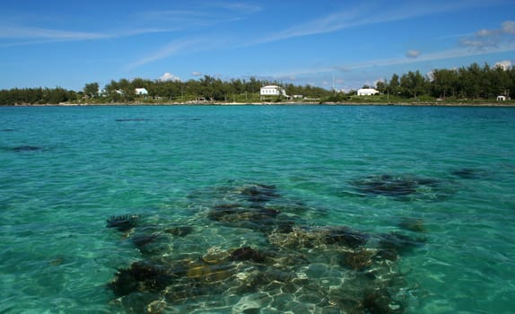 a green tropical sea, with a boiler reef clearly visible below the surface