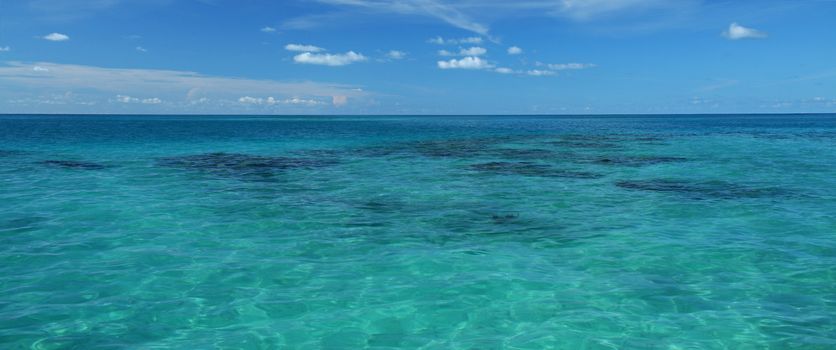 a green tropical sea, with coral reef clearly visible below the surface