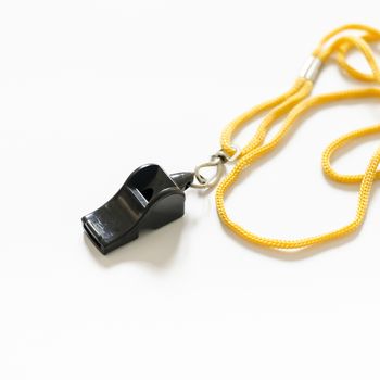 whistle on a white background