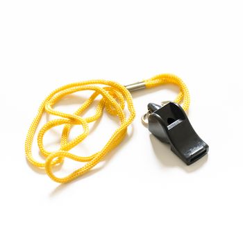 whistle on a white background