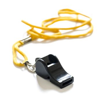 whistle on a white background