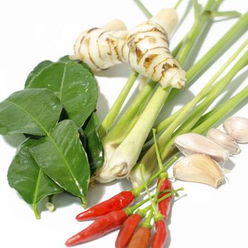 Herbs and spices set to make tom yum spicy soup