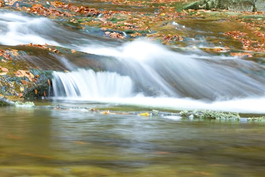 Photo shows a closeup of an autumn forest with river and stones.