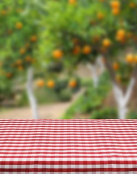 Product photo template red table cloth orange grove background