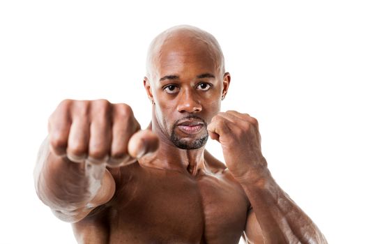 Ripped and muscular martial artist holding his fists up isolated over a white background. Great boxing or fitness concept. Shallow depth of field.