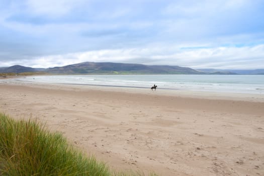 horse and rider at the maharees a beautiful beach in county Kerry Ireland