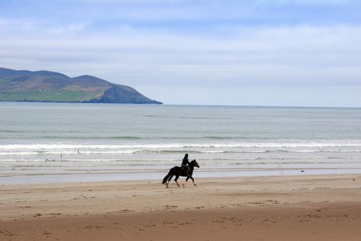 horse and rider at the maharees a beautiful beach in county Kerry Ireland