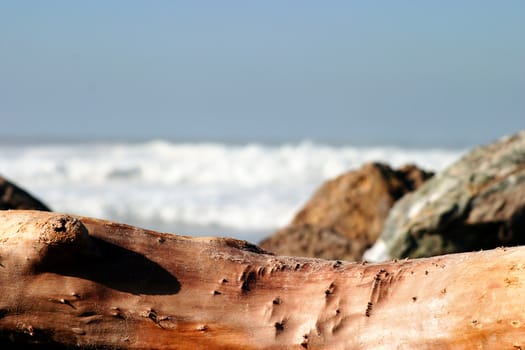 Drift Wood with stormy ocean waves in the background.