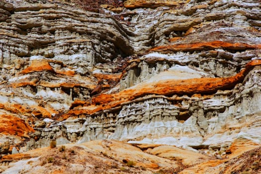 Red rock texture and layer at Red Rock Canyon,USA.