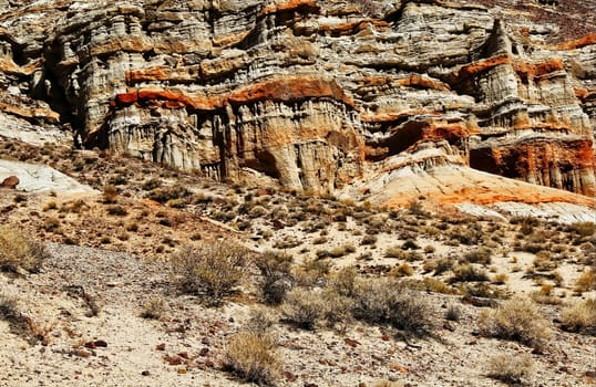 Red rock texture at Red Rock Canyon in the USA.